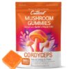 Cutleaf Mushroom Gummies