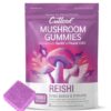 Cutleaf Mushroom Gummies