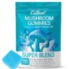 Cutleaf Mushroom Gummies